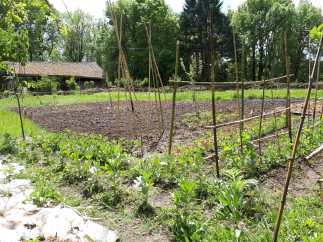 moulin-scalagrand_vegetable-garden-permaculture_@2018